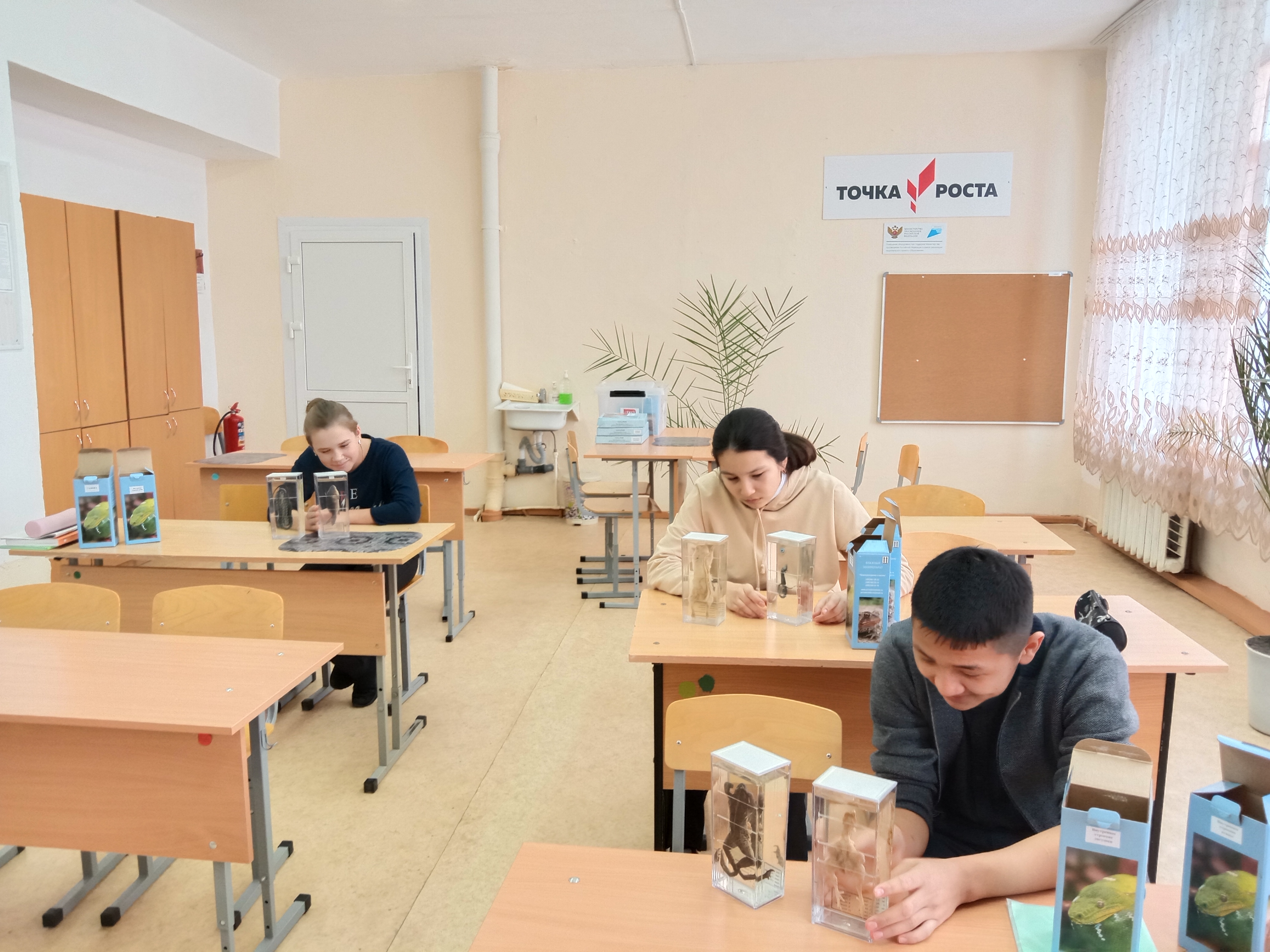 На уроке биологии На уроке биологии